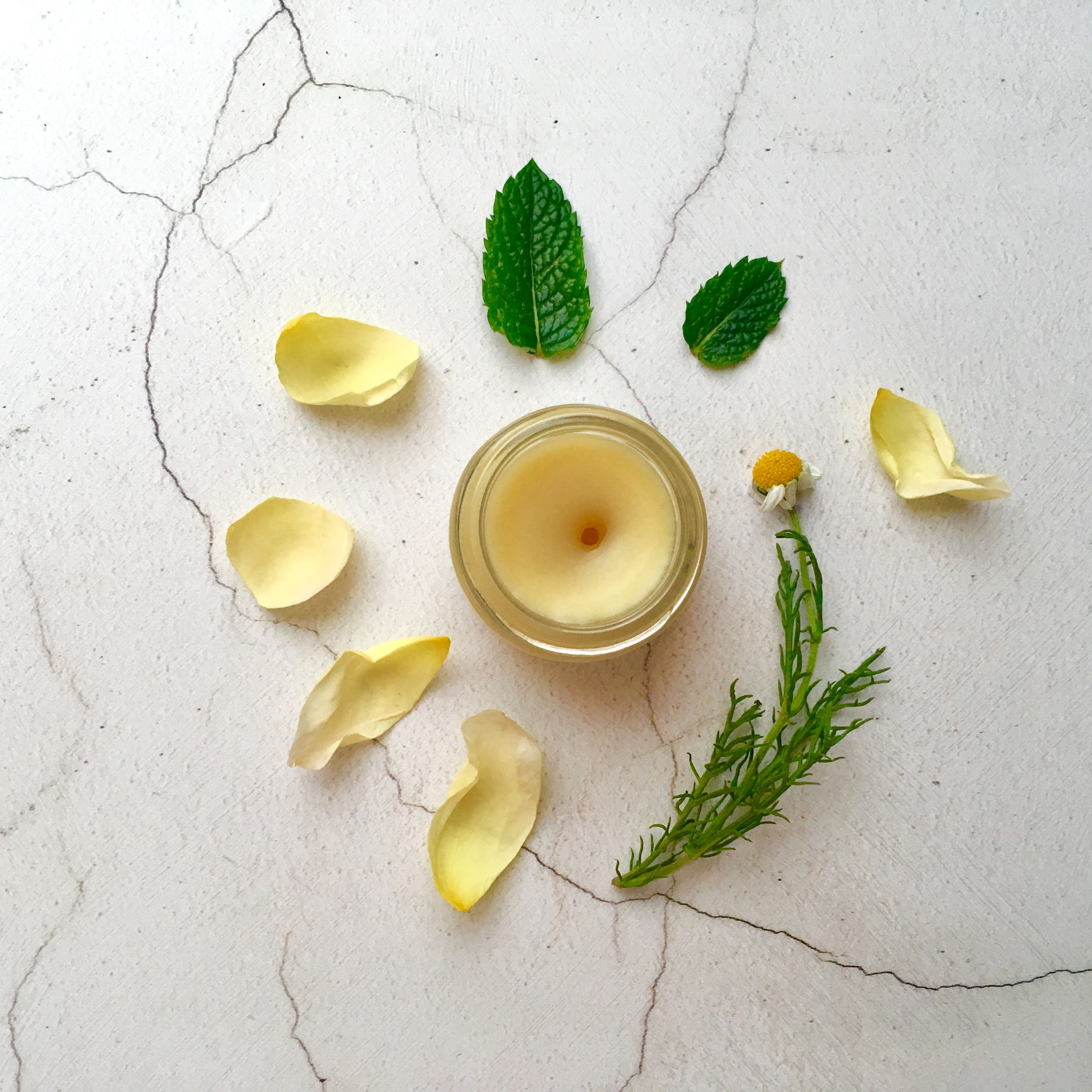 handcrafted natural botanical artisan solid perfume wildflower