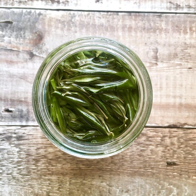 olive leaf tincture, olive leaf extract, herbal medicine