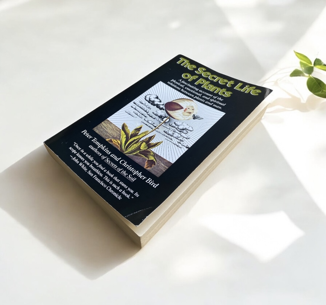 Currently Reading 'The Secret Life Of Plants' - Ink And ocean Botanicals
